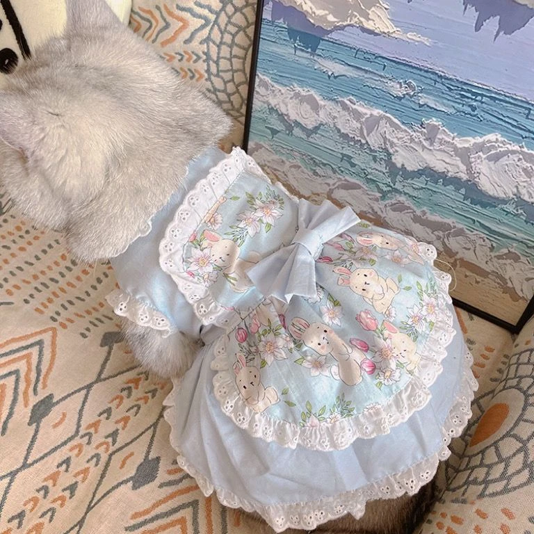 Lace Teddy Lingerie - Urocza sukienka fartuch z koronki w